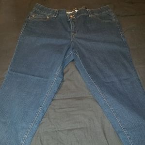 Lane Bryant Skinny Leg denim